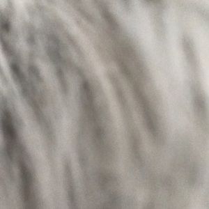 Outfit (PLEASE READ)